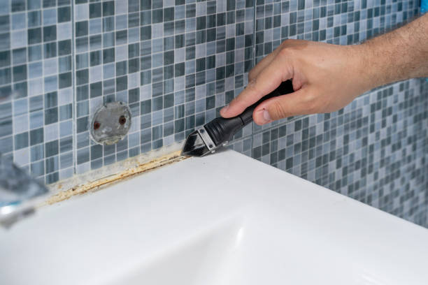 Best Black Mold Removal  in Herndon, VA