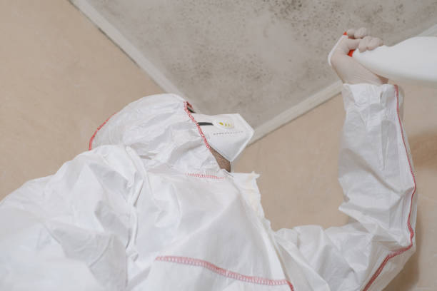Best Mold Cleaning Services  in Herndon, VA